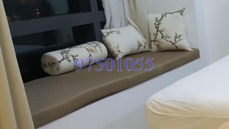 Skysuites@Anson (D2), Apartment #153287542